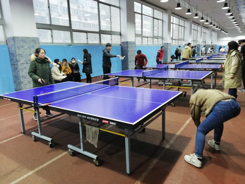 1544538676677074513.jpg 乒乓球.jpg