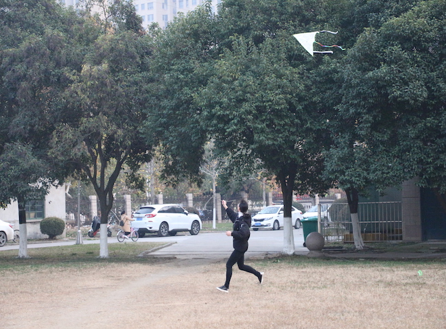 1543506953151014591.jpg 放飞3.jpg