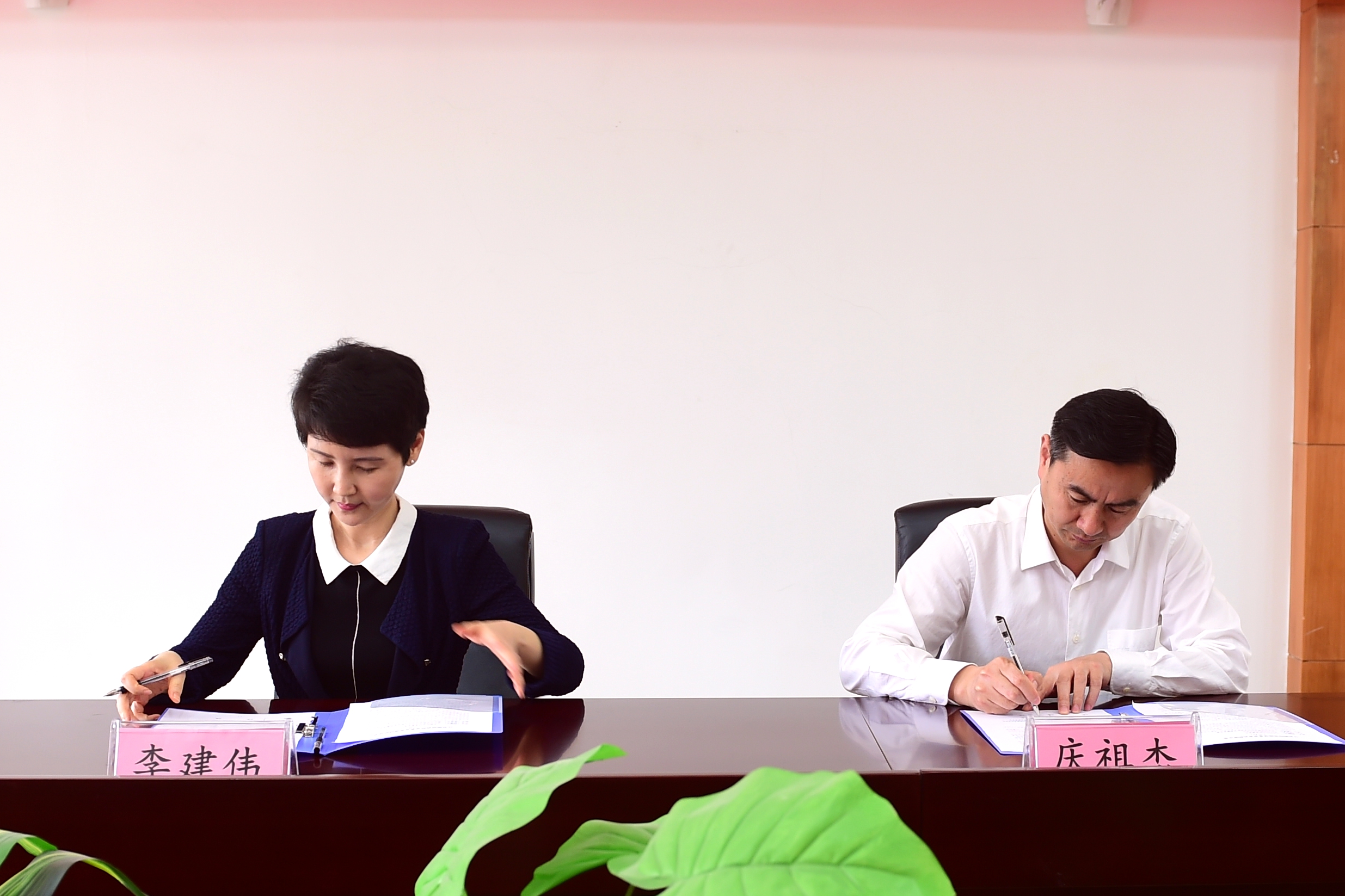 1528210042510005837.jpg 08.jpg