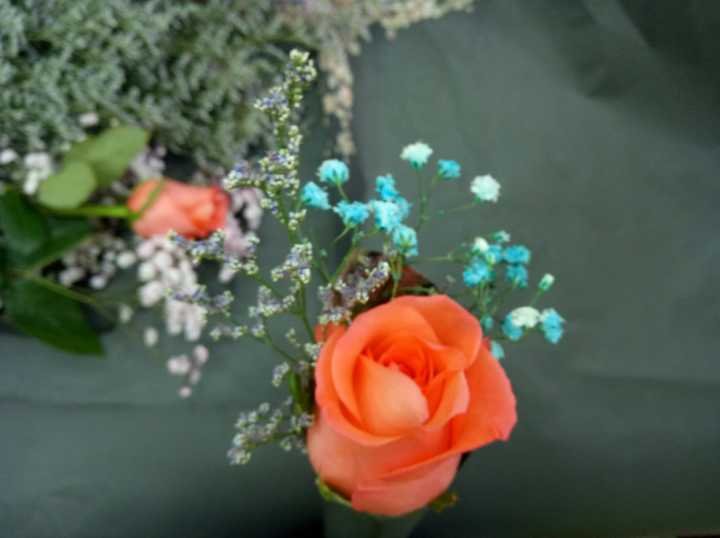 1527053365514049789.jpg null4f85392a65a2dc8c.jpg