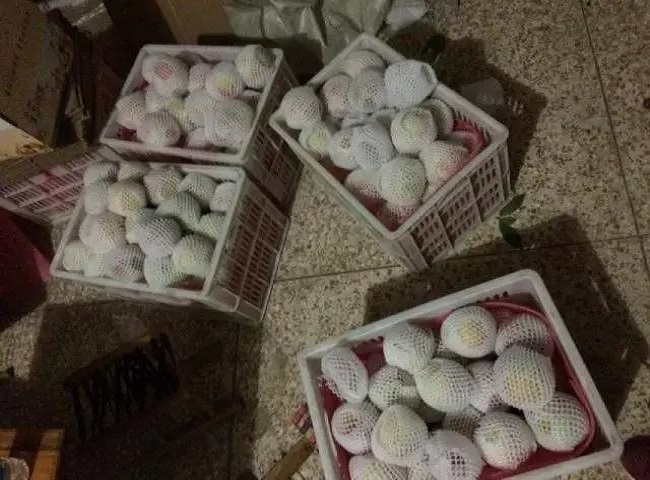 1503746452331015095.jpg mmexport1503742928824.jpg