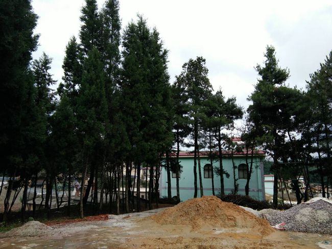 1502947800231077490.jpg QQ图片20170701224419_副本.jpg