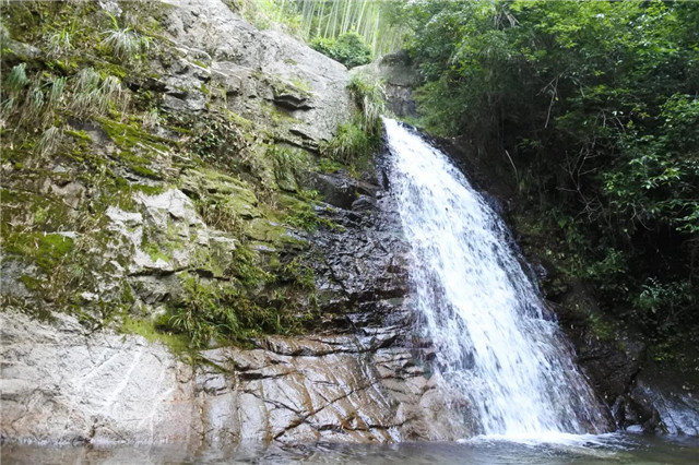 1500445908856080753.jpg 4_副本.jpg