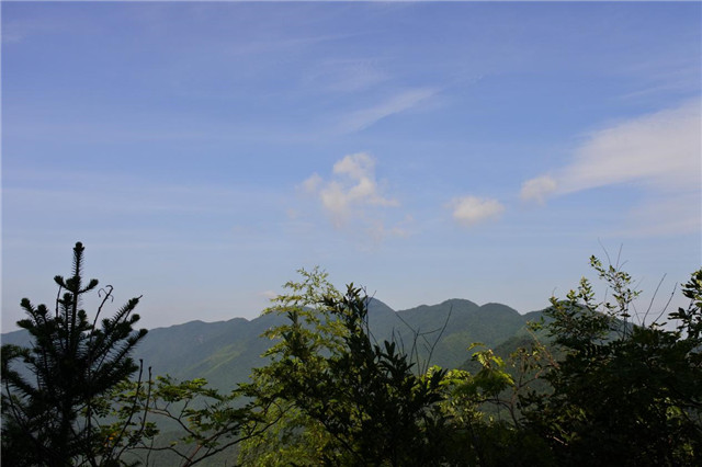 1500445920494077450.jpg 5_副本.jpg