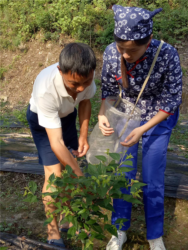 1500216231806024944.jpg 5_副本.jpg