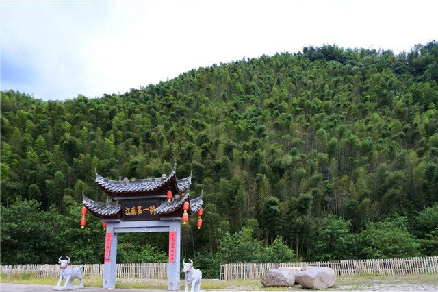 1499662086314019516.jpg 1_副本.jpg