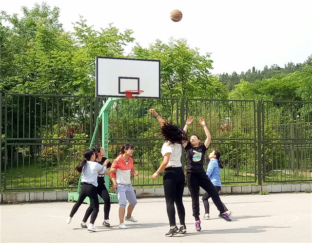 1495868310827083751.jpg 3_副本.jpg