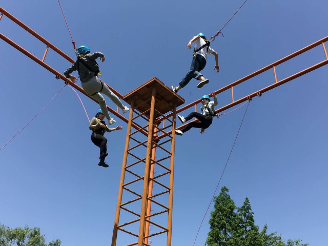 1495023691469020809.jpg 格式工厂微信图片_20170515174618.jpg