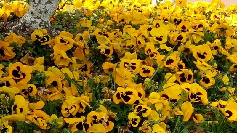 1493405600192035358.jpg 1493405600192035358.jpg