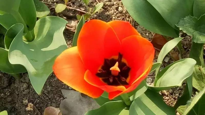 1493405577180067060.jpg 1493405577180067060.jpg