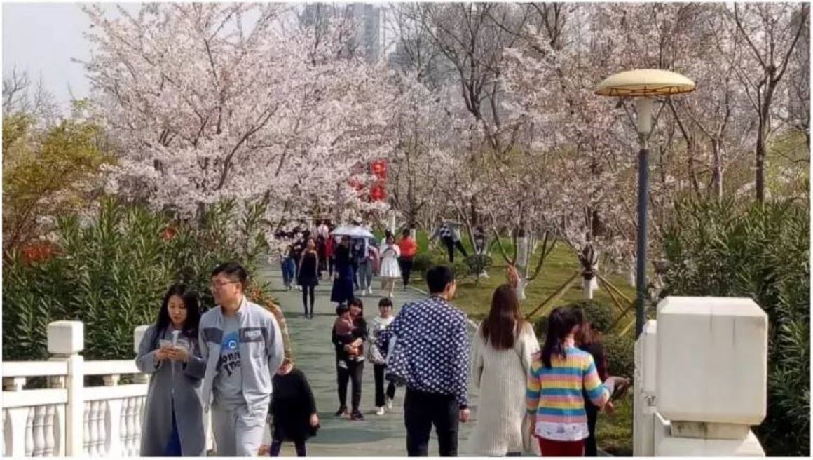 1495238199264093222.jpg 1495238199264093222.jpg