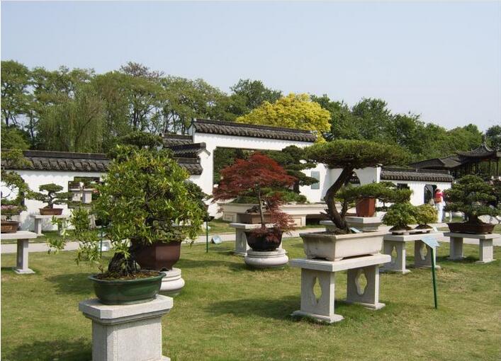 1494773945712006155.jpg 1494773945712006155.jpg