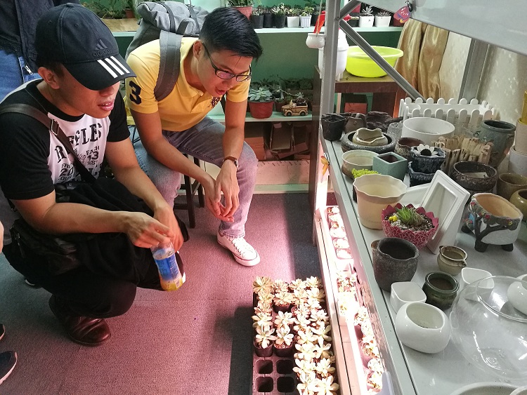 1493445706029086570.jpg 1493445706029086570.jpg