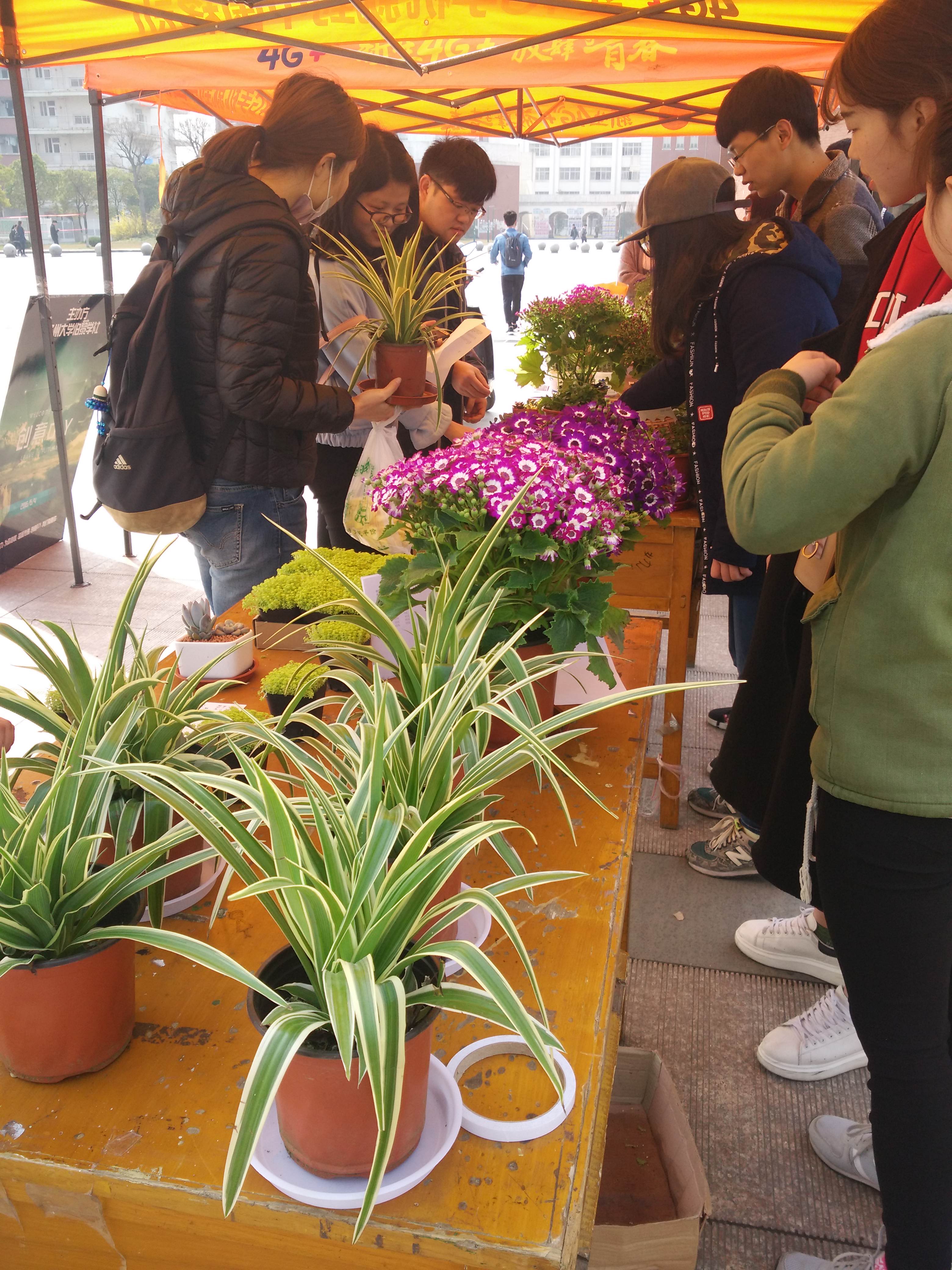 1492575085159075755.jpg QQ图片20170412220756.jpg