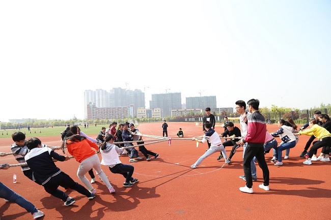 1493135999918060673.jpg 趣味运动会4.jpg