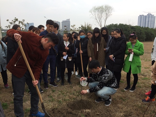 1489506822408091034.jpg 植树.jpg