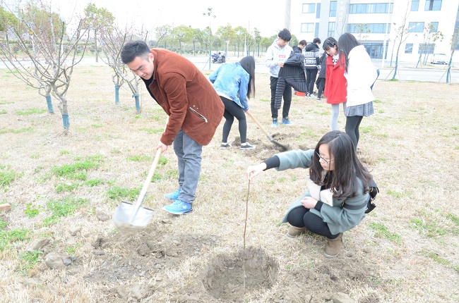 1489506847845027417.jpg 3.jpg