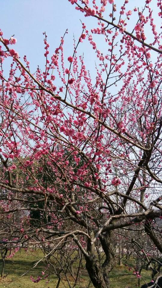 1488811659951091328.jpg 1488811659951091328.jpg