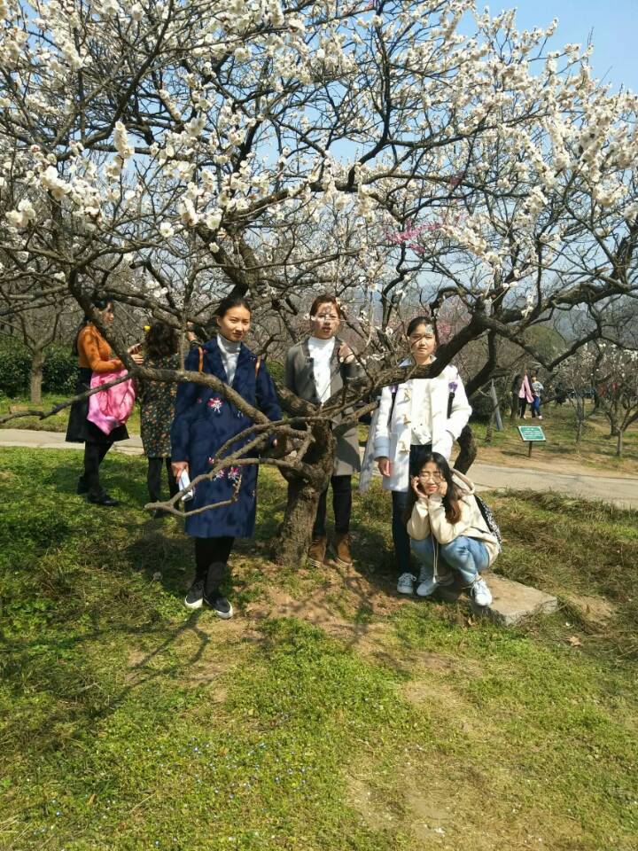 1488811811116004473.jpg 1488811811116004473.jpg