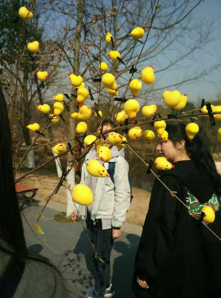 1488811869827092313.jpg 新建文件夹 (2)-6b0554a41ebe5fe1.jpg