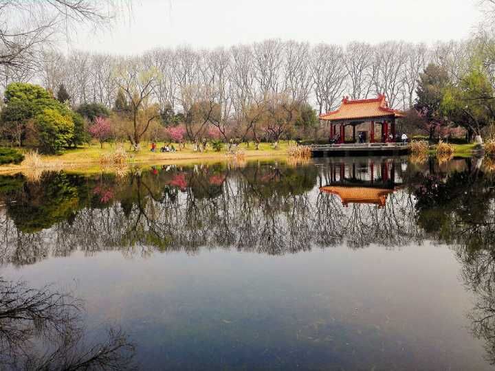 1488817371491028372.jpg QQ图片20170307000146.jpg