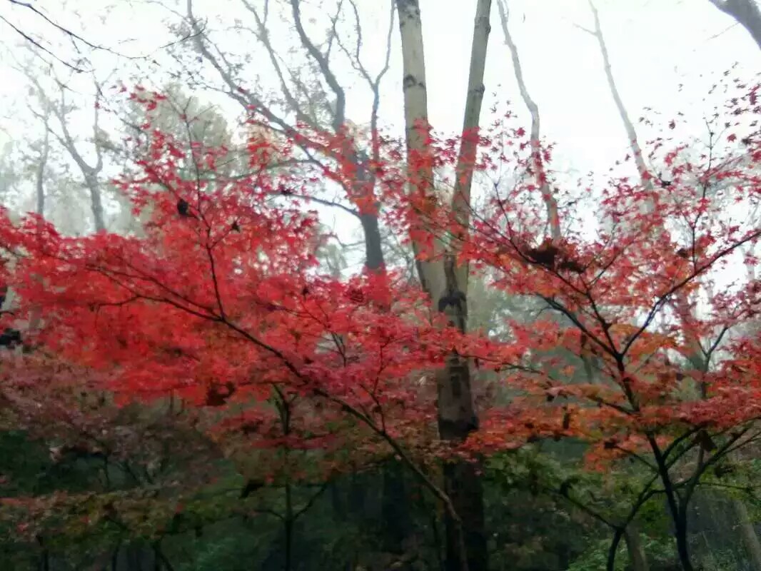 1479908140680062107.jpeg 1479908140680062107.jpeg