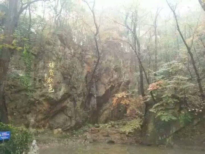 1479908104179009362.jpeg 1479908104179009362.jpeg