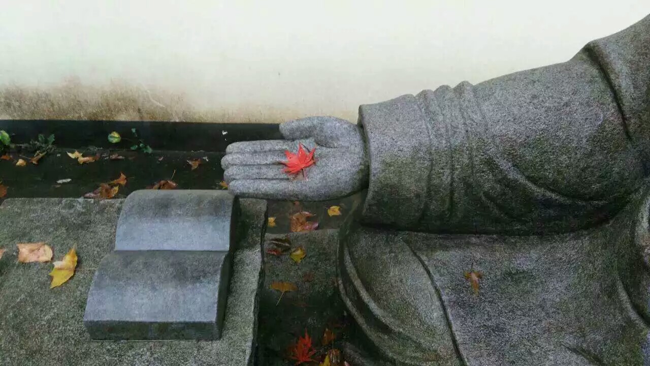 1479908250560011063.jpeg 1479908250560011063.jpeg