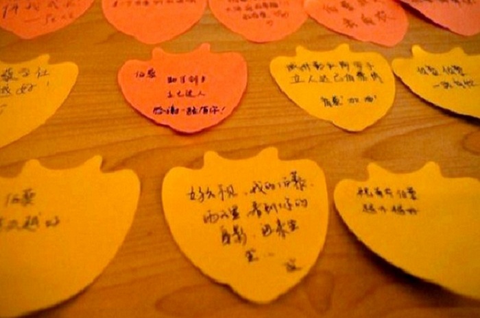 1477298065813079523.jpg 1477298065813079523.jpg