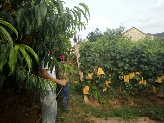 1475493860622015131.jpeg 1 (2).jpeg