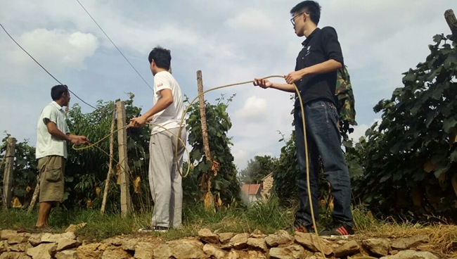 1475493890959070256.jpeg 2.jpeg