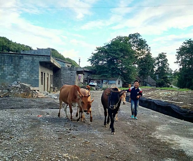 1479274272365074516.jpeg 7.jpeg