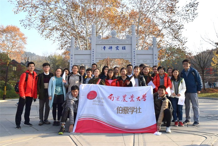 null-6adf1a64b9bb26a2.jpg