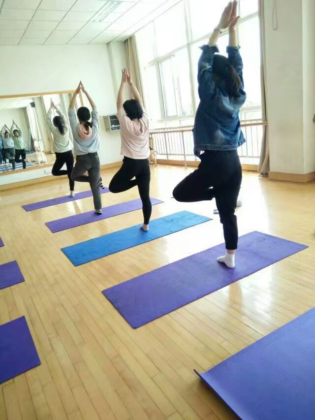 瑜伽1492562262579.jpeg